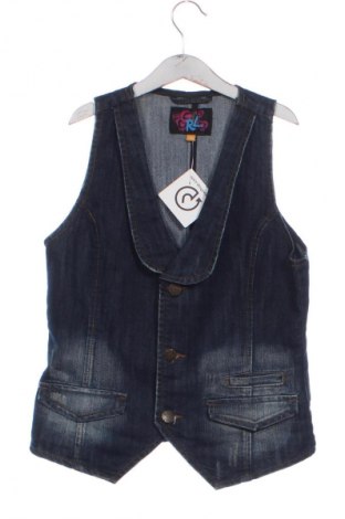 Παιδικό γιλέκο Unbranded, Μέγεθος 15-18y/ 170-176 εκ., Χρώμα Μπλέ, Τιμή 1,99 €