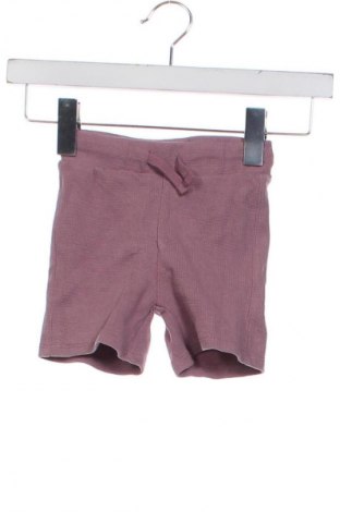 Dziecięce szorty Tex, Rozmiar 3-6m/ 62-68 cm, Kolor Fioletowy, Cena 6,99 zł