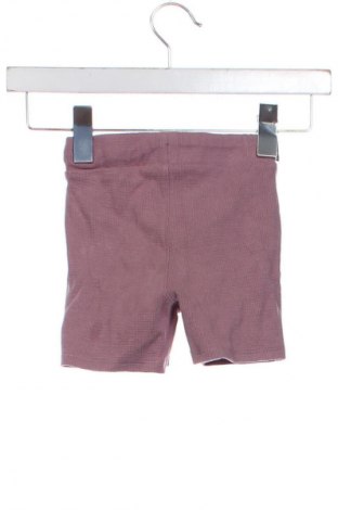 Dziecięce szorty Tex, Rozmiar 3-6m/ 62-68 cm, Kolor Fioletowy, Cena 6,99 zł