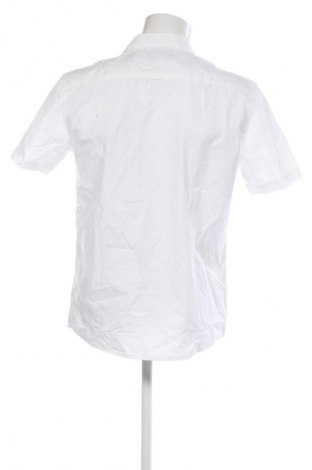 Męska koszula Man's World, Rozmiar M, Kolor Biały, Cena 45,99 zł