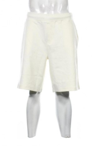 Męskie szorty Calvin Klein, Rozmiar L, Kolor Beżowy, Cena 404,99 zł, #134051625