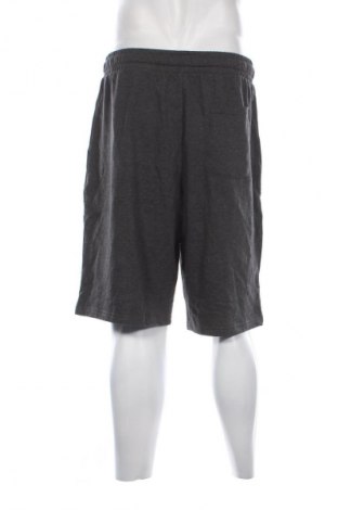 Herren Shorts Kangaroos, Größe XL, Farbe Grau, Preis € 18,99