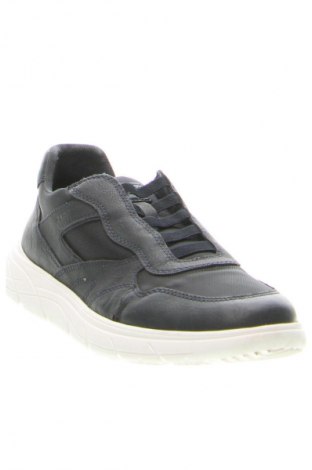 Ανδρικά παπούτσια Geox, Μέγεθος 43, Χρώμα Μπλέ, Τιμή 29,99 €