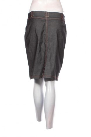 Φούστα Tara, Μέγεθος M, Χρώμα Γκρί, Τιμή 1,99 €