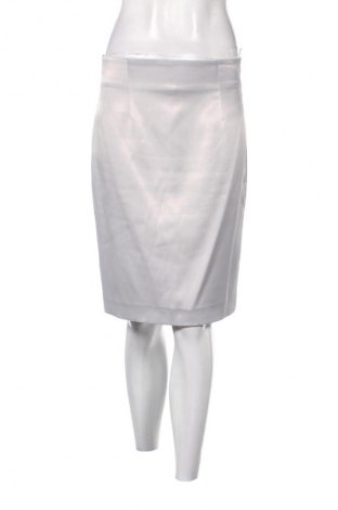 Φούστα Unbranded, Μέγεθος M, Χρώμα Γκρί, Τιμή 3,99 €