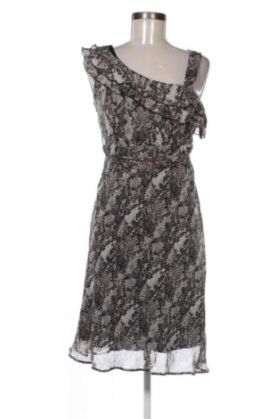 Φόρεμα Dorothy Perkins, Μέγεθος M, Χρώμα Πολύχρωμο, Τιμή 13,99 €