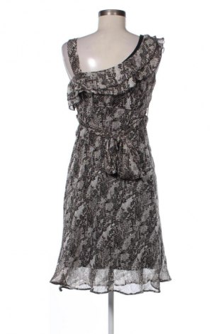 Φόρεμα Dorothy Perkins, Μέγεθος M, Χρώμα Πολύχρωμο, Τιμή 13,99 €