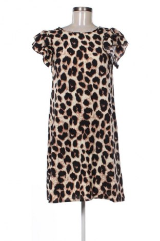 Φόρεμα Emery rose, Μέγεθος S, Χρώμα Πολύχρωμο, Τιμή 6,99 €