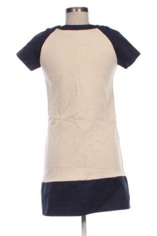 Sukienka Mango, Rozmiar S, Kolor Kolorowy, Cena 25,99 zł