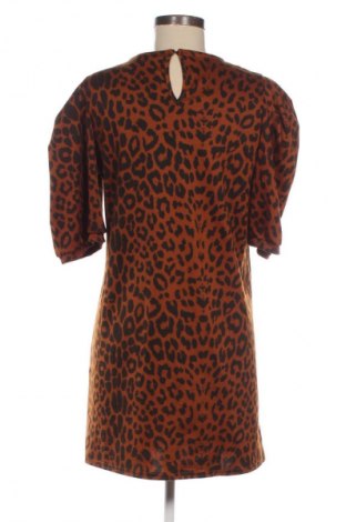 Φόρεμα New Look, Μέγεθος M, Χρώμα Πολύχρωμο, Τιμή 6,99 €