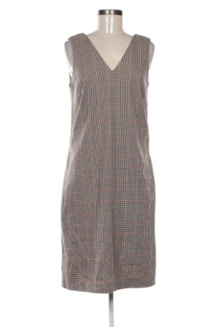 Sukienka Next, Rozmiar M, Kolor Kolorowy, Cena 35,40 zł