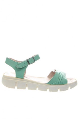 Σανδάλια Unbranded, Μέγεθος 40, Χρώμα Πράσινο, Τιμή 27,99 €