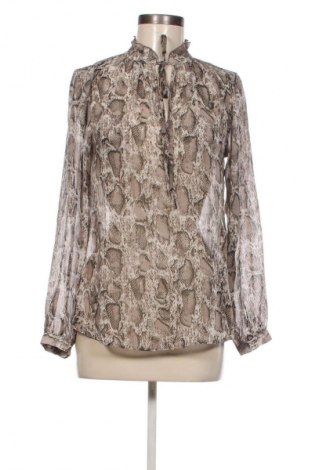 Γυναικεία μπλούζα Amisu, Μέγεθος XS, Χρώμα Πολύχρωμο, Τιμή 4,99 €