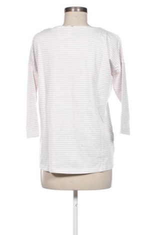 Γυναικεία μπλούζα Camel Active, Μέγεθος M, Χρώμα Πολύχρωμο, Τιμή 14,99 €