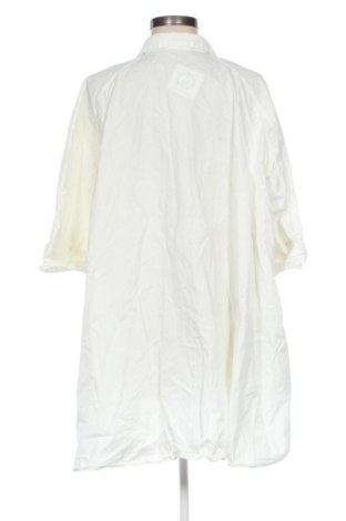 Damenbluse Zara, Größe L, Farbe Ecru, Preis € 15,99