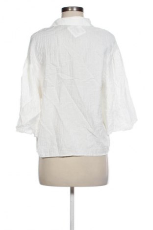 Damska koszula Zara, Rozmiar S, Kolor Czarny, Cena 27,40 zł