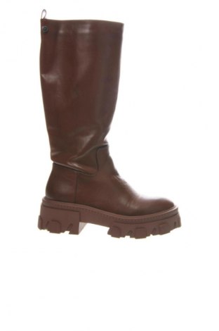 Γυναικείες μπότες Xti, Μέγεθος 37, Χρώμα Καφέ, Τιμή 60,99 €