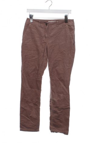 Damskie sztruksy Stefanel, Rozmiar XS, Kolor Brązowy, Cena 11,99 zł