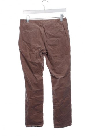 Damskie sztruksy Stefanel, Rozmiar XS, Kolor Brązowy, Cena 11,99 zł