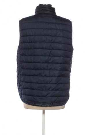 Γυναικείο γιλέκο Roly, Μέγεθος M, Χρώμα Μπλέ, Τιμή 3,99 €