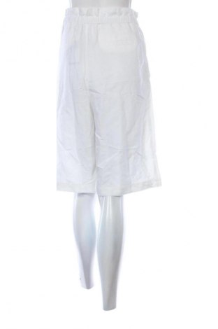 Damen Shorts Gardeur, Größe XXL, Farbe Weiß, Preis 43,99 €