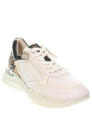 Dámske topánky  Hogl, Veľkosť 38, Farba Viacfarebná, Cena  122,95 €