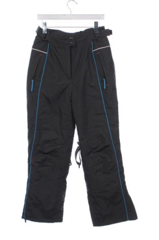 Дамски панталон за зимни спортове Unbranded, Размер S, Цвят Сив, Цена 18,40 €