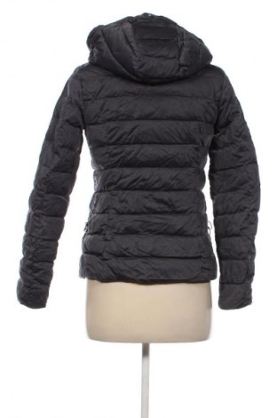 Dámská bunda  Hetrego, Velikost S, Barva Šedá, Cena  1 399,00 Kč