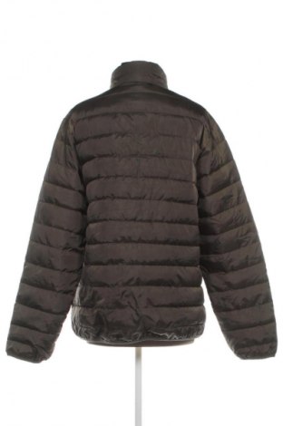 Damenjacke X-Mail, Größe M, Farbe Grün, Preis € 11,99