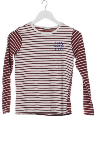 Kinder Shirt Sissy Boy, Größe 10-11y/ 146-152 cm, Farbe Mehrfarbig, Preis 1,99 €