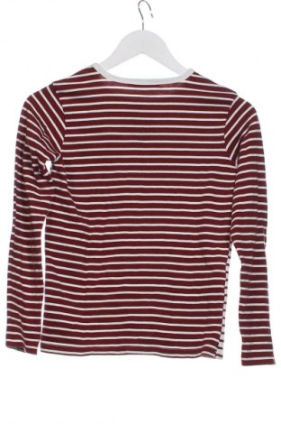 Kinder Shirt Sissy Boy, Größe 10-11y/ 146-152 cm, Farbe Mehrfarbig, Preis 1,99 €