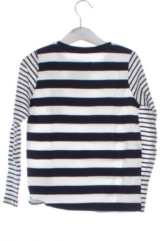 Детска блуза Tom Tailor, Размер 5-6y/ 116-122 см, Цвят Многоцветен, Цена 8,69 €