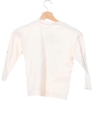 Detská blúzka  Zara, Veľkosť 5-6y/ 116-122 cm, Farba Viacfarebná, Cena  4,80 €