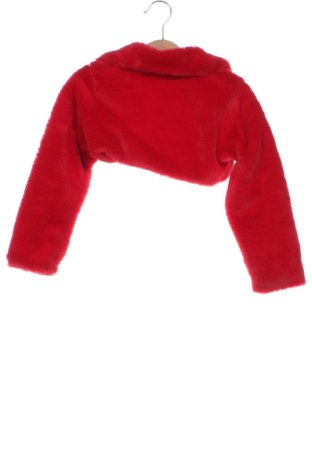 Kinder Strickjacke Unbranded, Größe 5-6y/ 116-122 cm, Farbe Rot, Preis 3,99 €