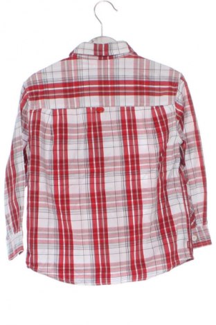 Kinderhemd Ecko Unltd., Größe 3-6m/ 62-68 cm, Farbe Mehrfarbig, Preis 1,99 €