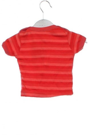 Kinder T-Shirt Unbranded, Größe 2-3m/ 56-62 cm, Farbe Mehrfarbig, Preis 1,99 €