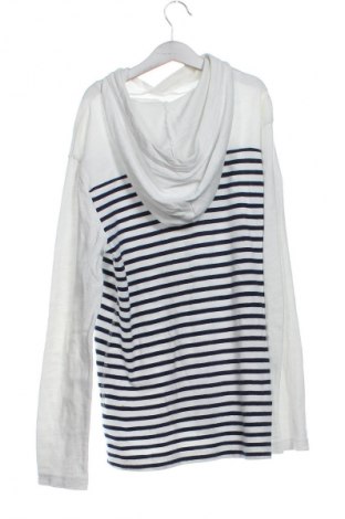 Kinder Sweatshirts Gap Kids, Größe 14-15y/ 168-170 cm, Farbe Mehrfarbig, Preis 8,99 €