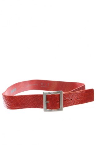 Gürtel Ole, Farbe Rot, Preis 27,80 €