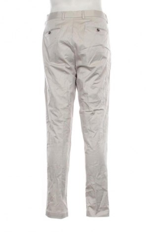 Herrenhose Limited Edition, Größe L, Farbe Grau, Preis 4,99 €
