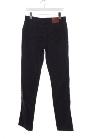 Herrenhose Unbranded, Größe S, Farbe Blau, Preis € 9,99