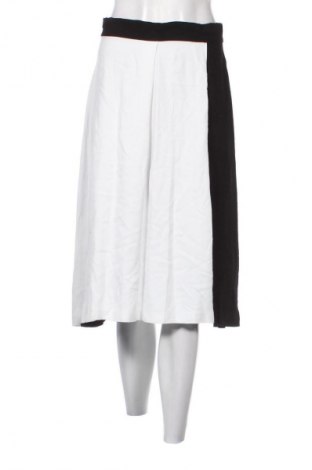 Пола Zara, Размер S, Цвят Многоцветен, Цена 6,62 €