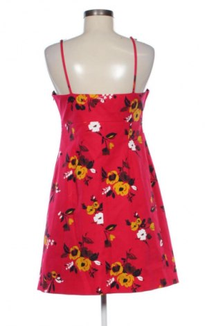 Φόρεμα Caroll, Μέγεθος M, Χρώμα Πολύχρωμο, Τιμή 24,99 €