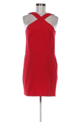 Kleid Mango, Größe L, Farbe Rot, Preis 35,99 €