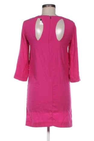 Kleid Mango, Größe XS, Farbe Rosa, Preis € 3,99