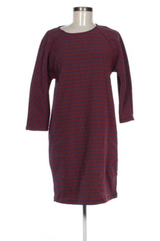 Kleid Max&Co., Größe M, Farbe Mehrfarbig, Preis € 53,99