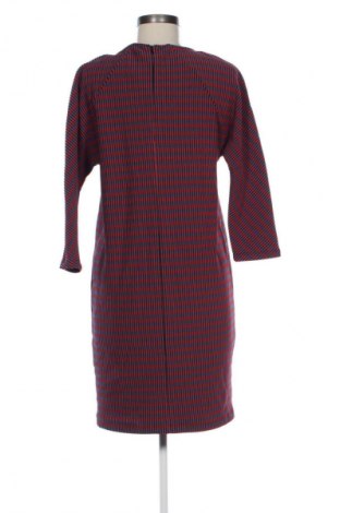 Kleid Max&Co., Größe M, Farbe Mehrfarbig, Preis € 53,99