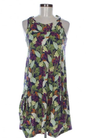 Sukienka Next, Rozmiar S, Kolor Kolorowy, Cena 35,74 zł