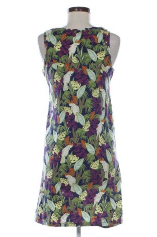 Sukienka Next, Rozmiar S, Kolor Kolorowy, Cena 35,74 zł