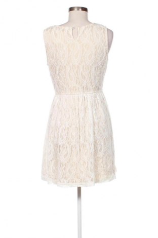 Φόρεμα Papaya, Μέγεθος L, Χρώμα Λευκό, Τιμή 7,99 €