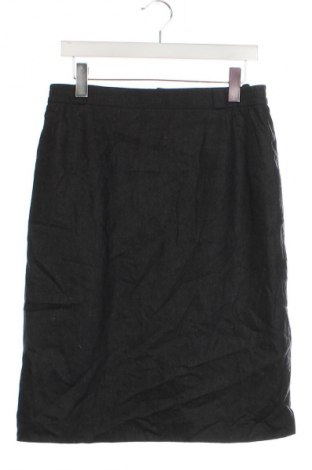 Sukně Delmond, Velikost L, Barva Šedá, Cena  99,00 Kč